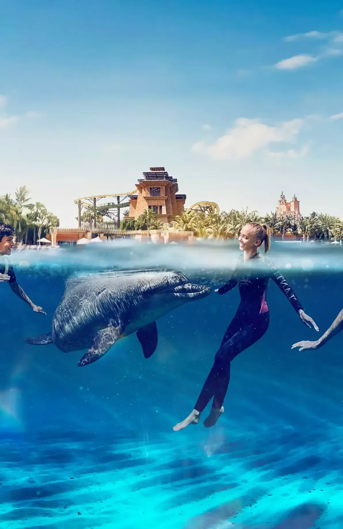 Dolphin Swim and Explore Experience at Aquaventure World