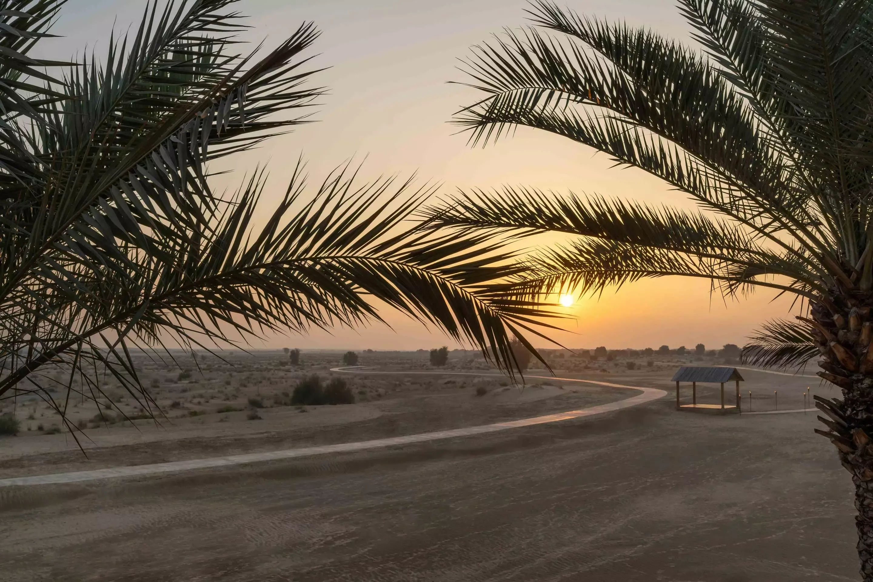 bas-rooms-deluxe-balcony-desert-view-sunset_029