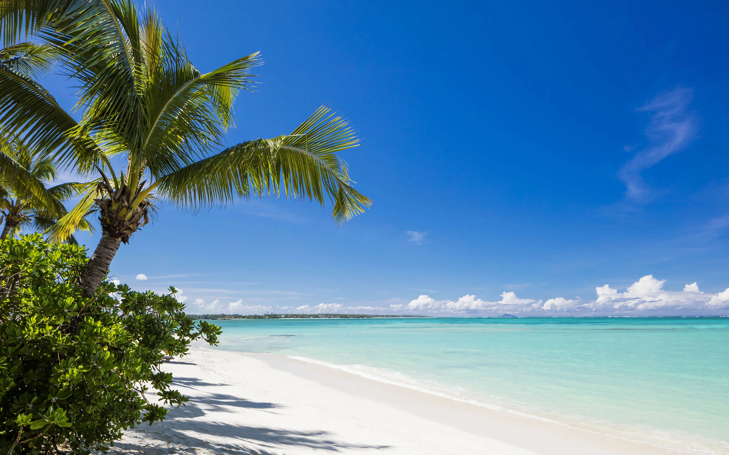 Eid escapes and dubai staycations one only resorts