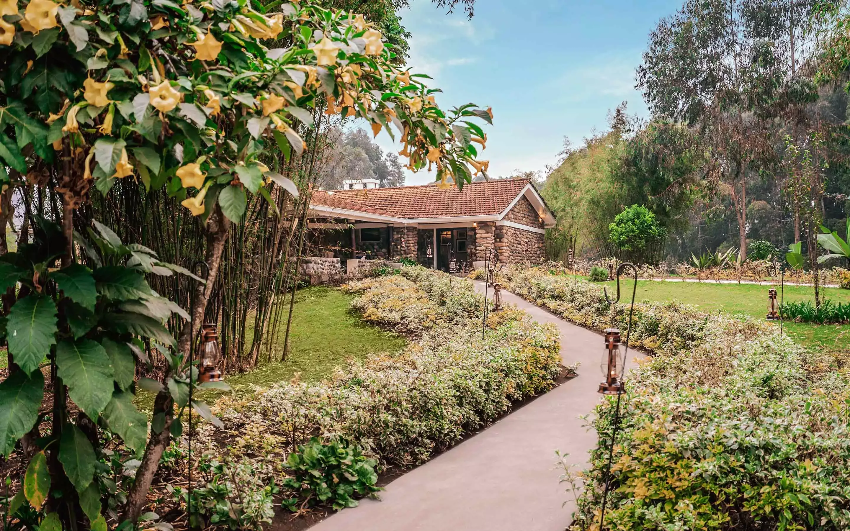 View of Jack Hanna Cottage at One&Only Gorilla's Nest