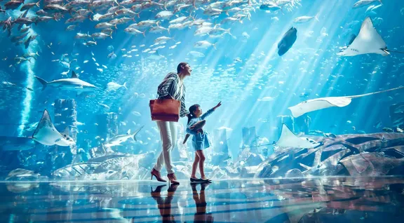 Ambassador Lagoon at Atlantis The Palm