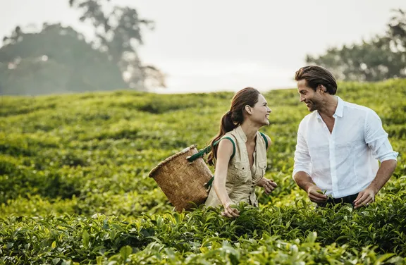 A couple picking tea at One&Only Nyungwe House