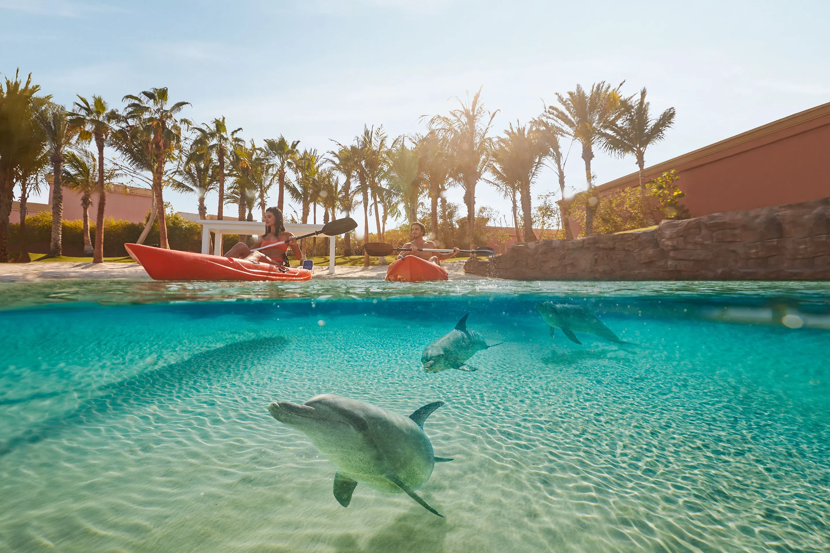 Dolphin Kayak experience in Atlantis Aquaventure