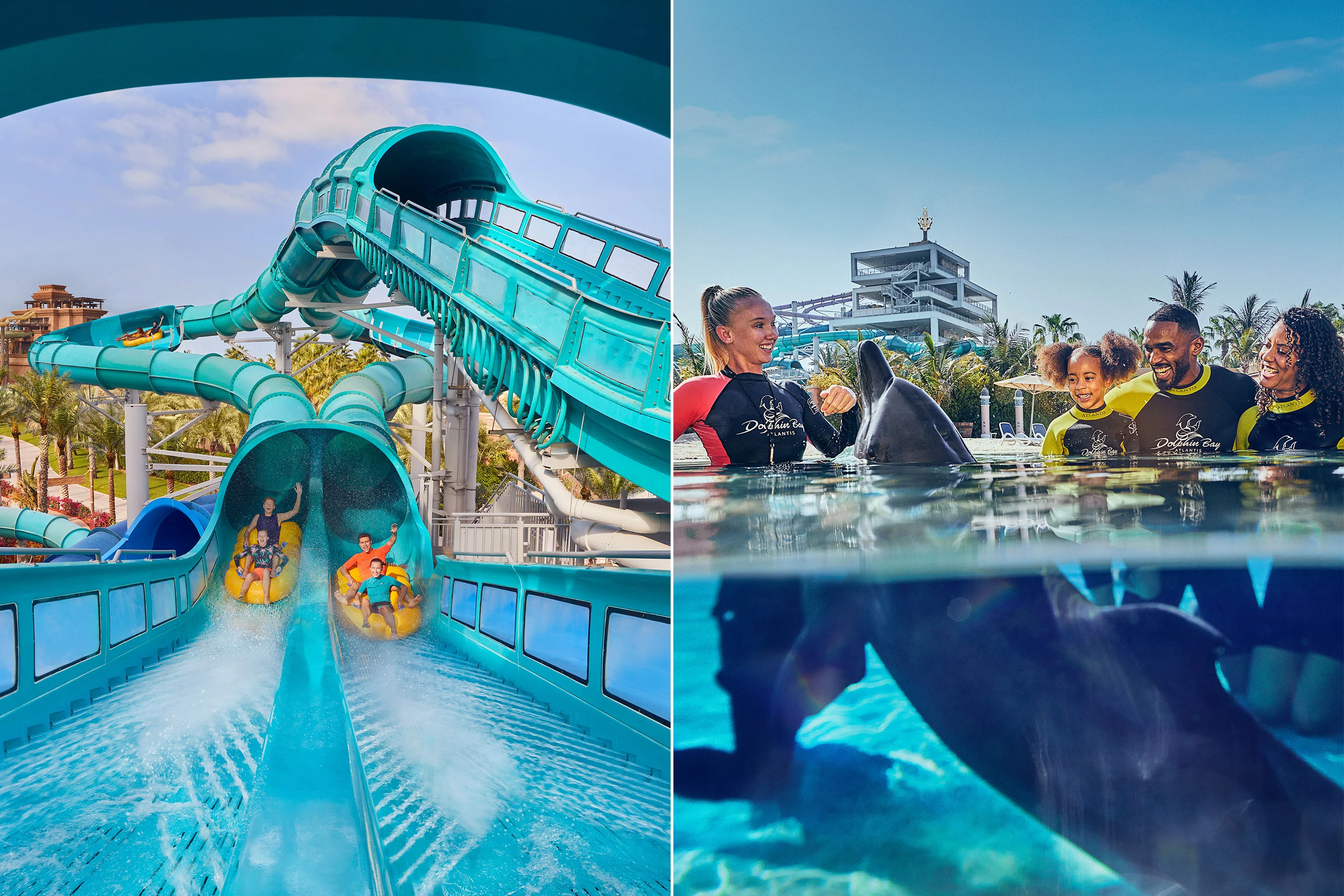 Aquaventure Day Pass and Dolphin Experience