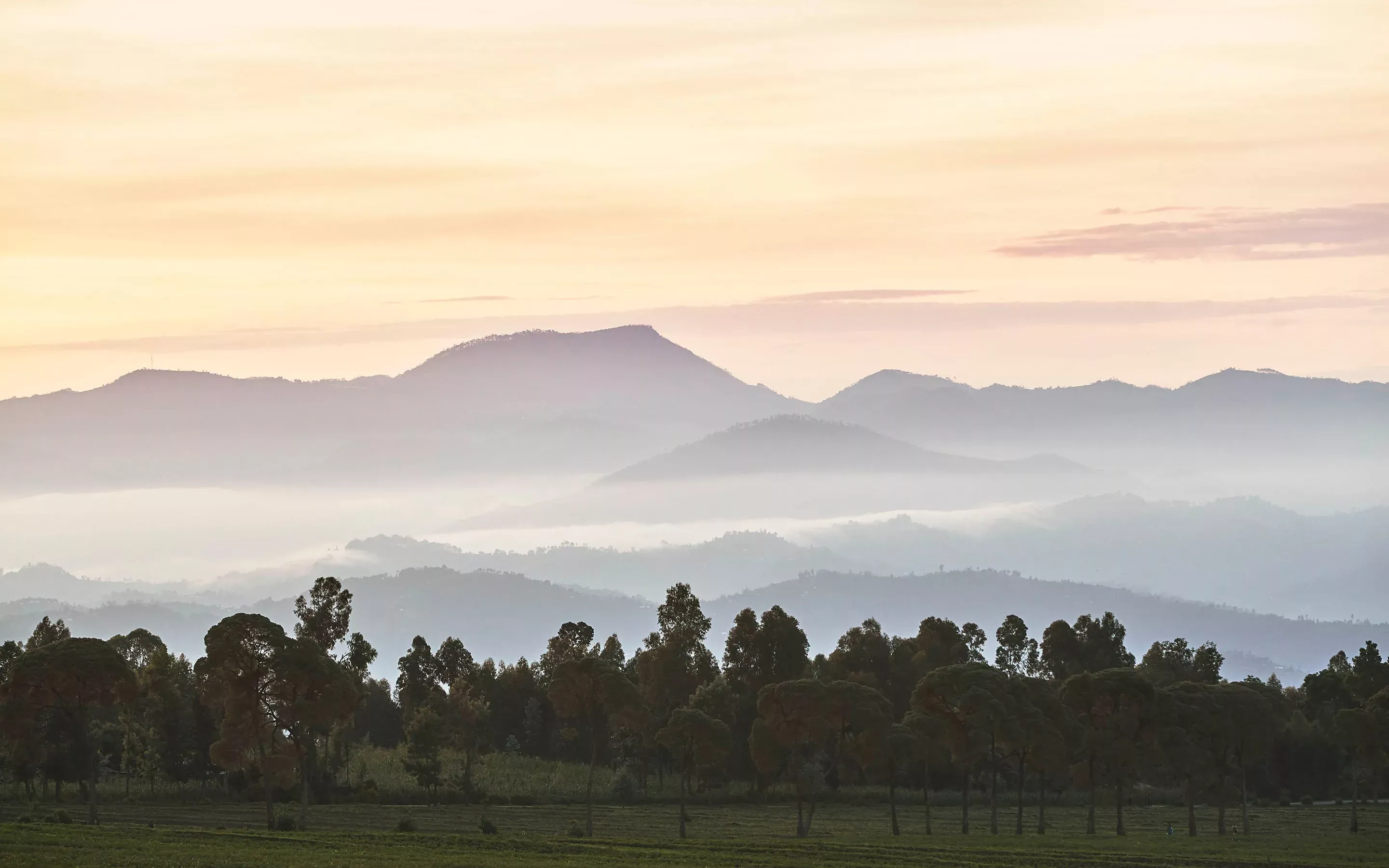 Mountain view sunrise at One&Only Gorilla's Nest