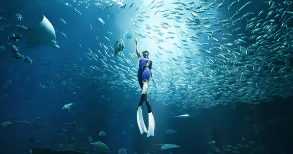Swimming in the Ambassadors Lagoon 