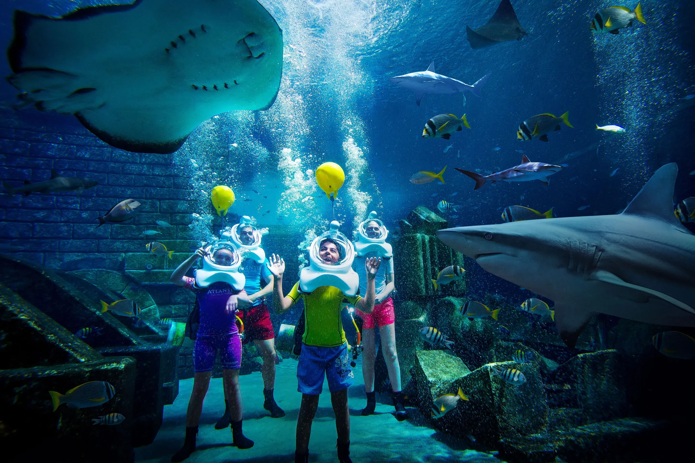 Aquaventure World Shark Safari