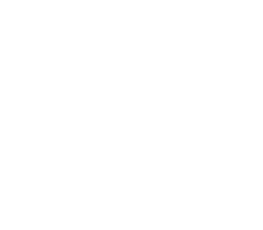 FZN by Bjorn Frantzen logo