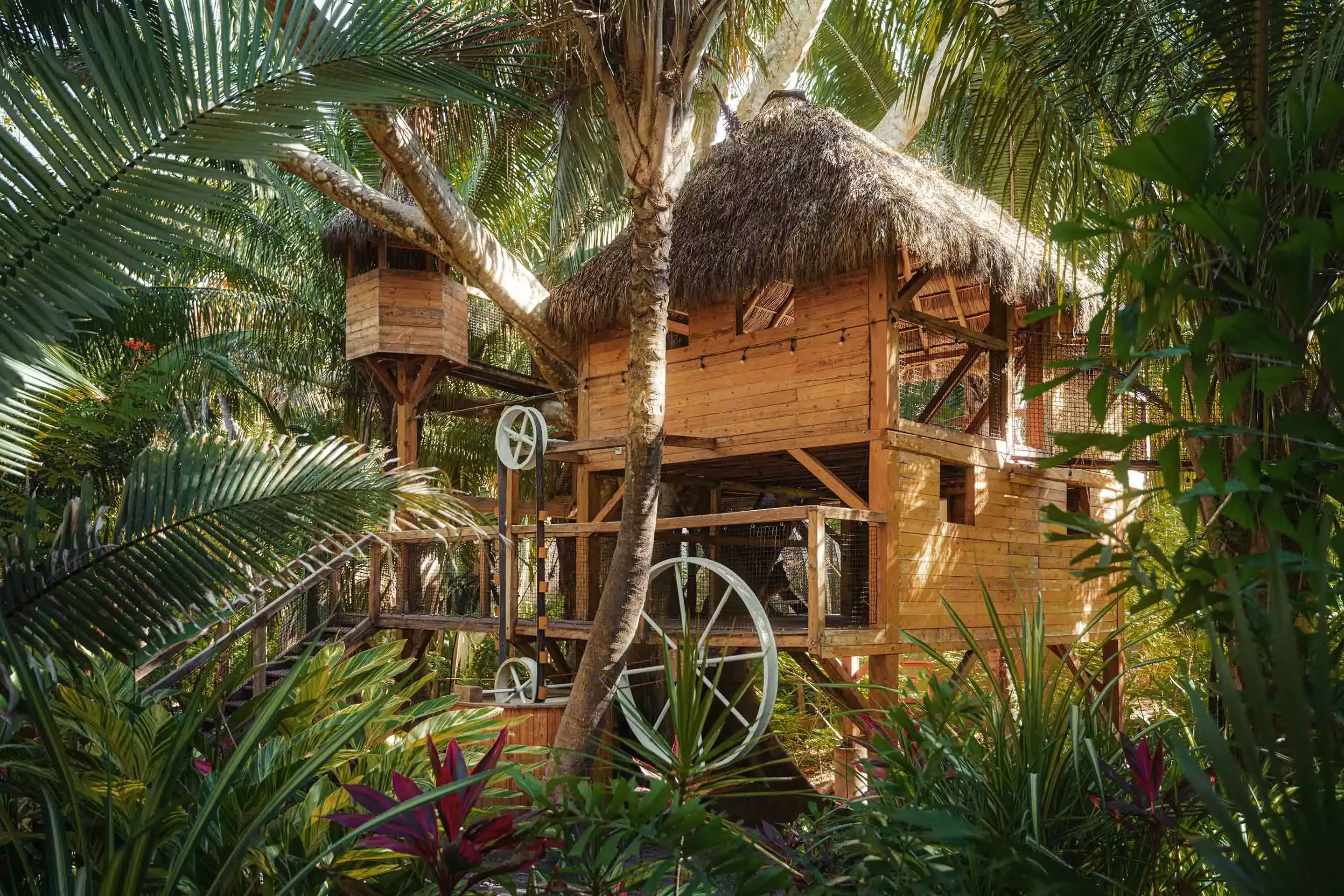 oomm-kids-club-treehouse