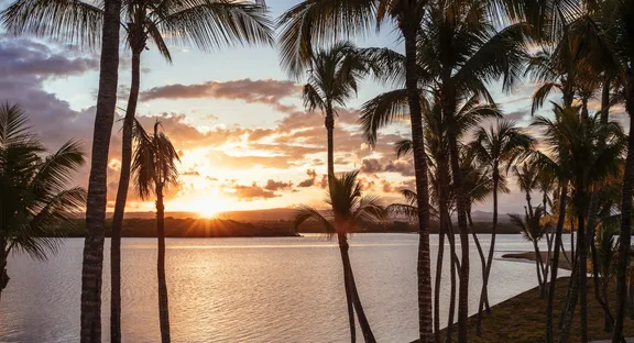 View of palm trees and sun shining on the ocean at One&Only Le Saint Géran