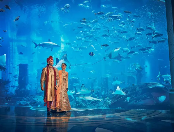 Indian Wedding Atlantis