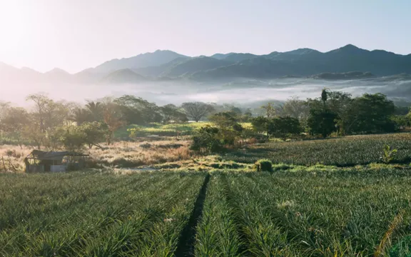 View of nature at One&Only Mandarina