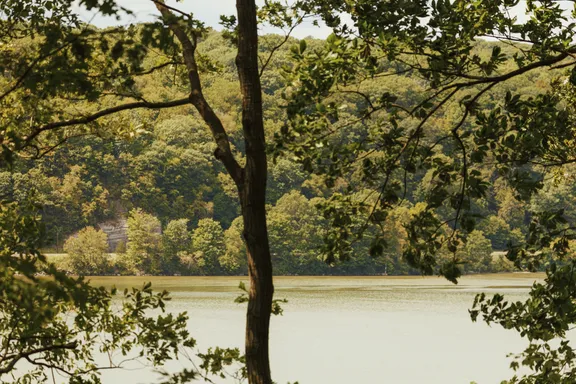 One&Only Hudson Valley - Nature- Tree