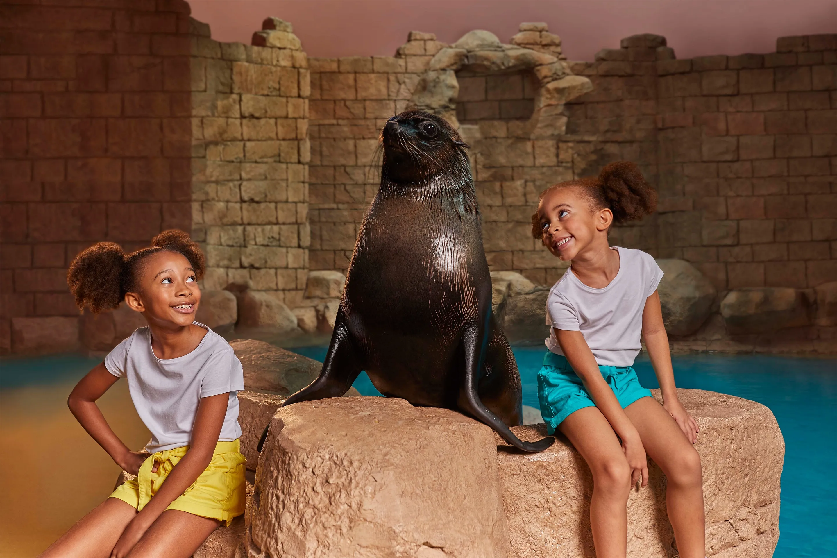 Sea Lion Meet and Greet at Aquaventure World