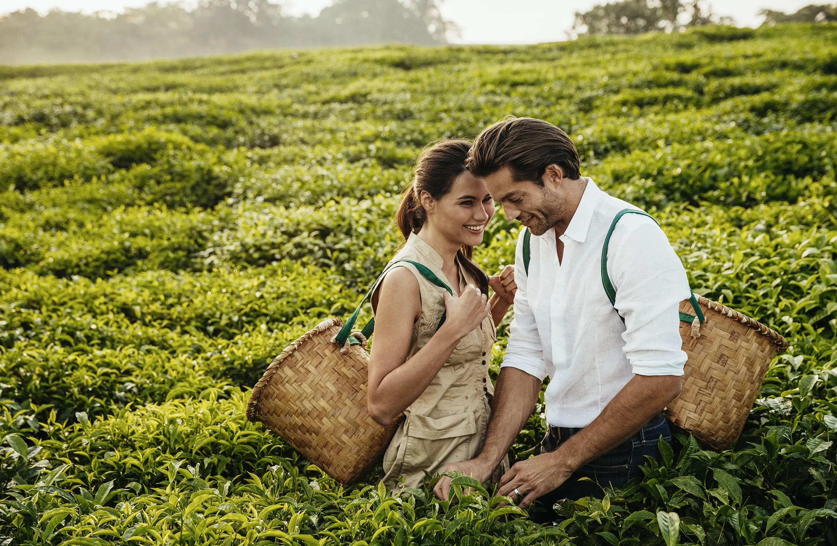 Couple picking tea plants at One&Only Nyungwe House