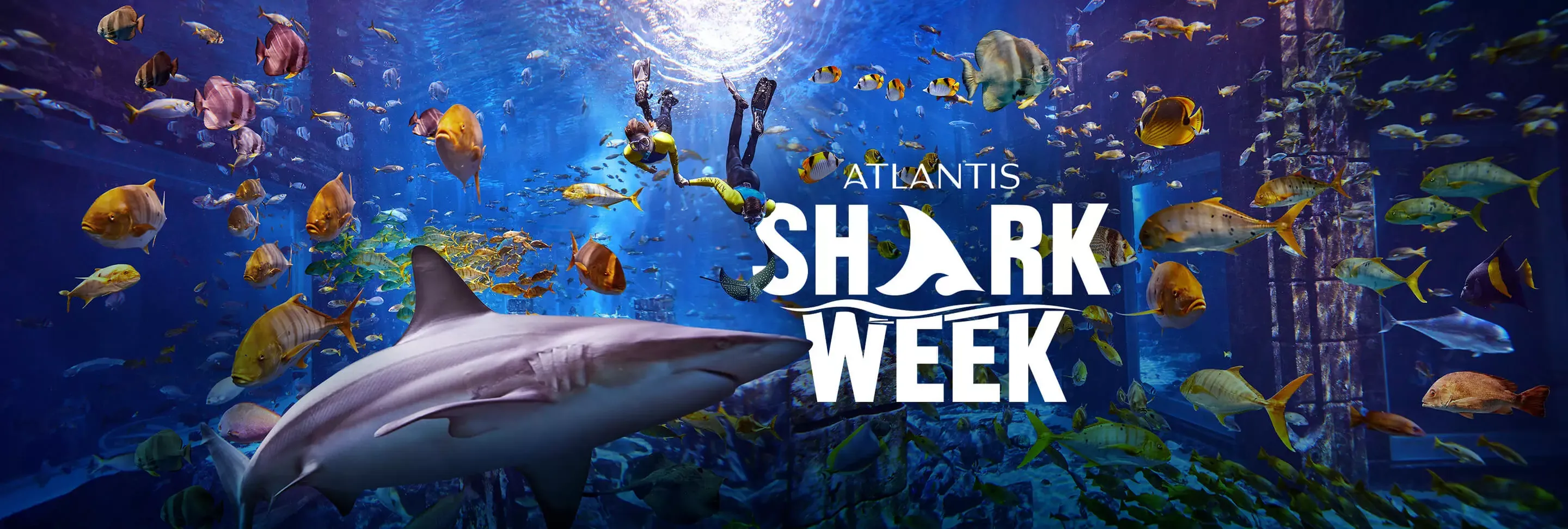 Shark Week at Atlantis