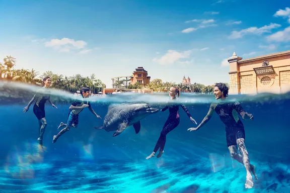 Dolphin Swim experience in Atlantis Aquaventure, Atlantis Dubai