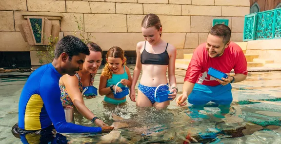 Ray Feeding With Family at Aquaventure World