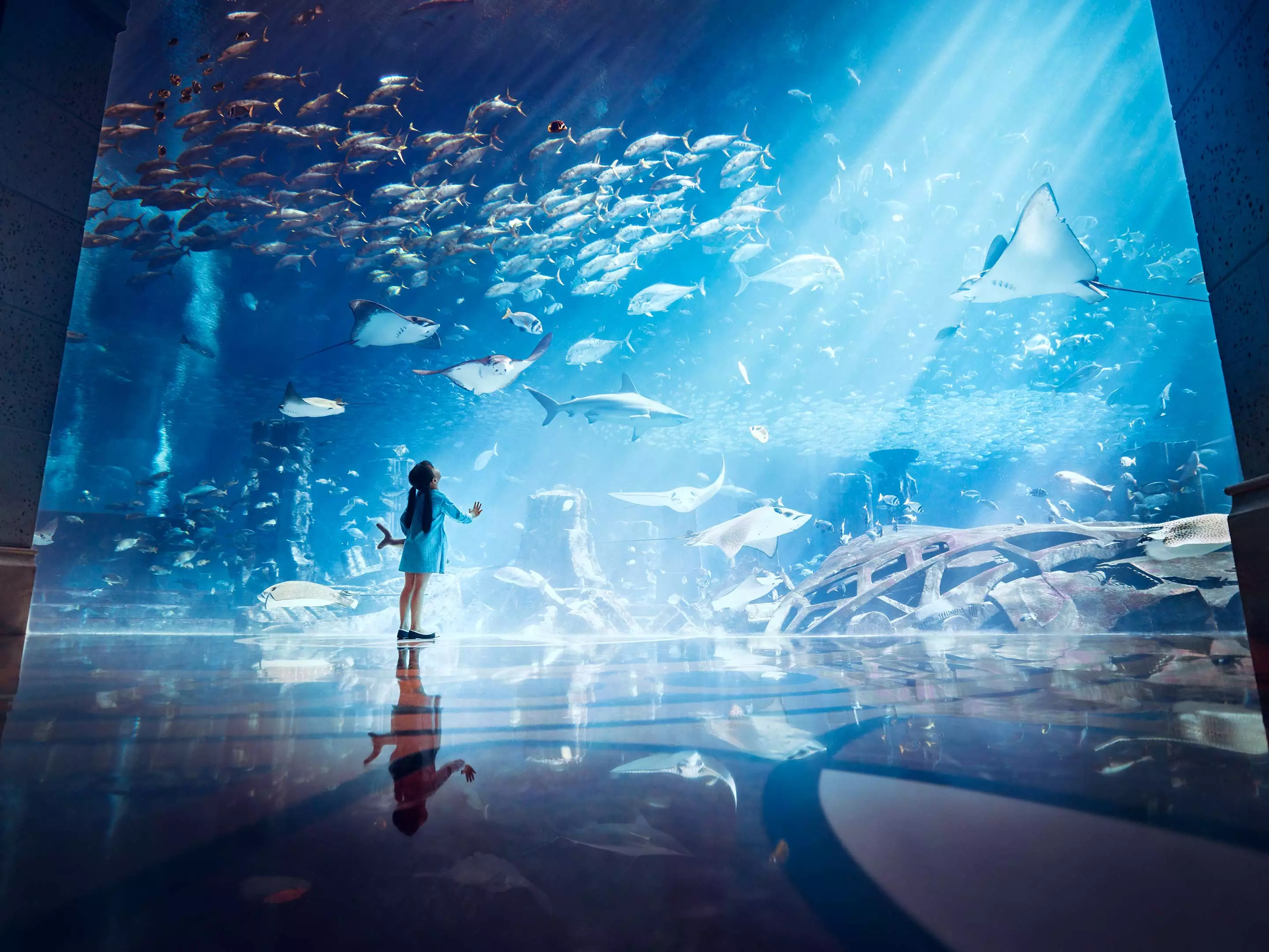 Children can wonder at marine life at Atlantis' Lost Chambers, located right near Atlantis the Royal. Image credit: Atlantis The Royal/Kerzner Group