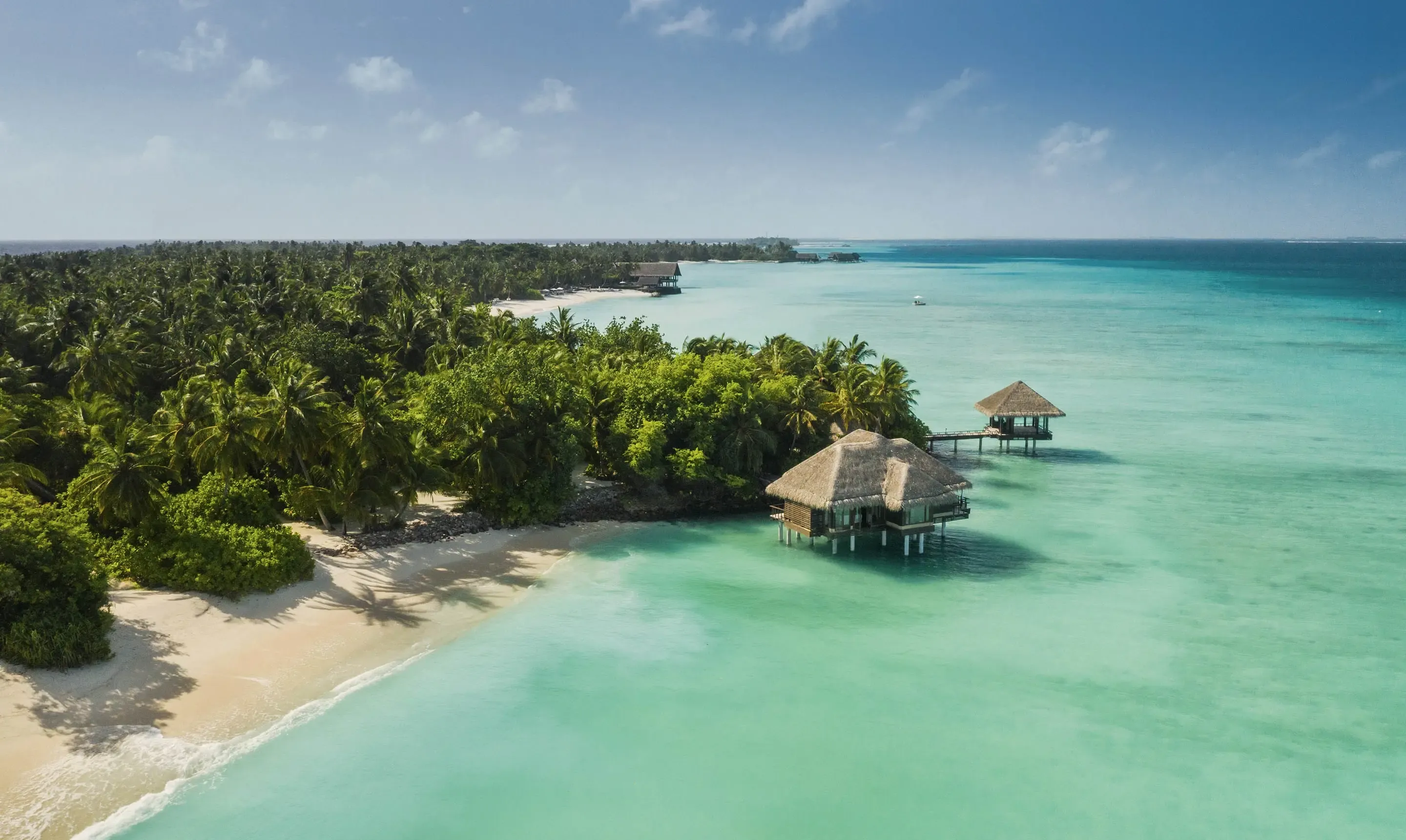 Aerial View of the Beach and Palm Trees at One&Only Resorts