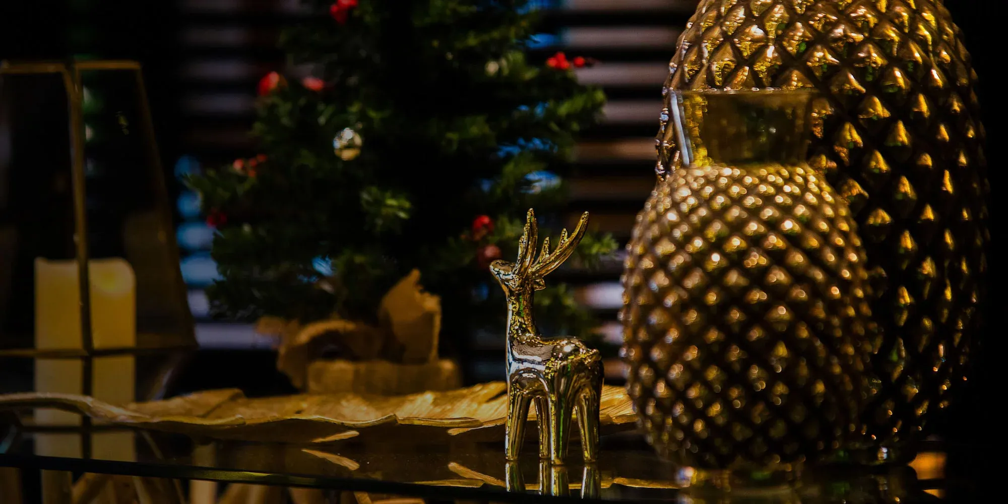 One&Only Nyungwe House - Festive 2023