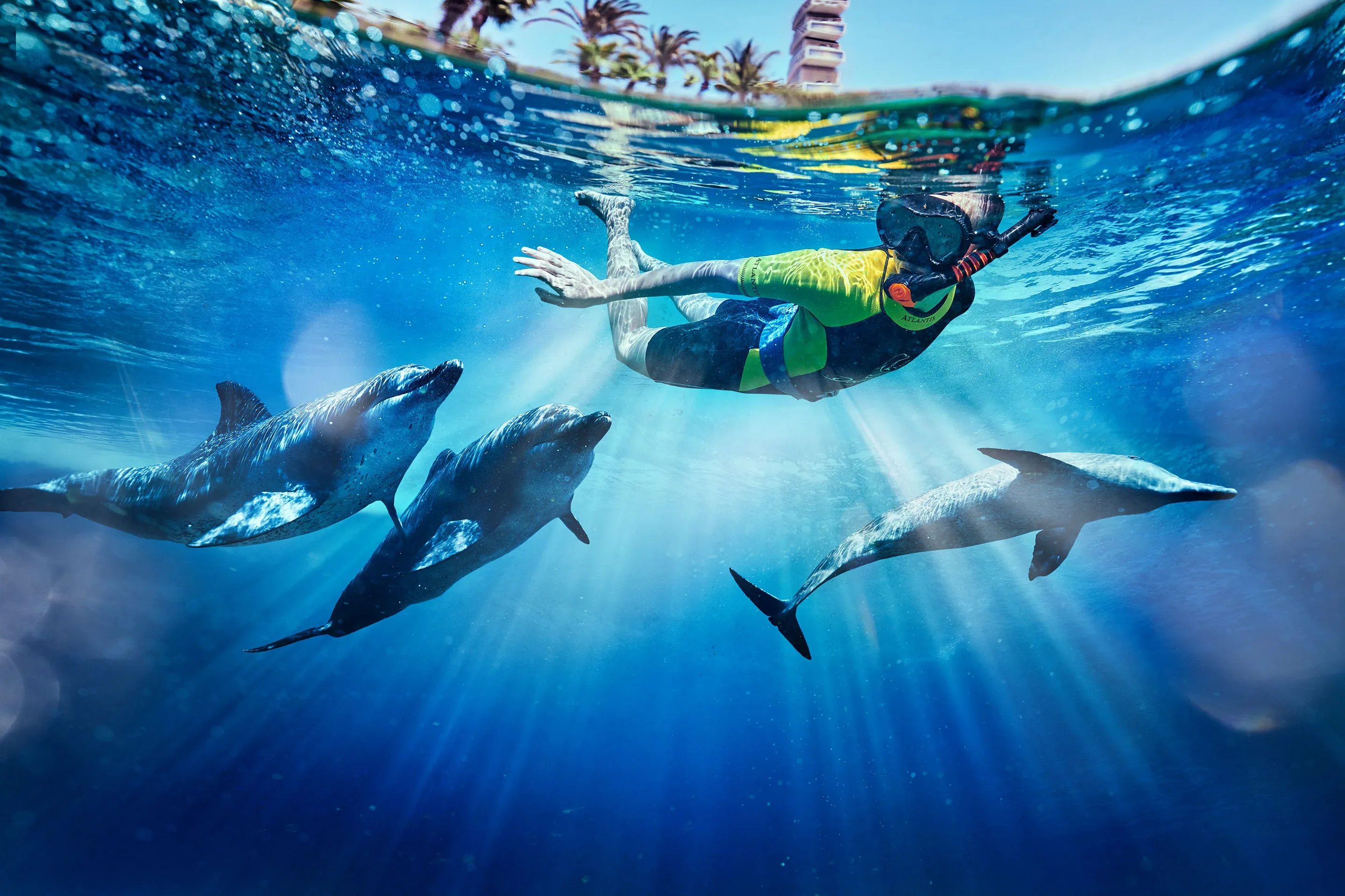 Atlas Village: Dolphins & Sea Lions Encounter in Dubai @ Atlantis Dubai