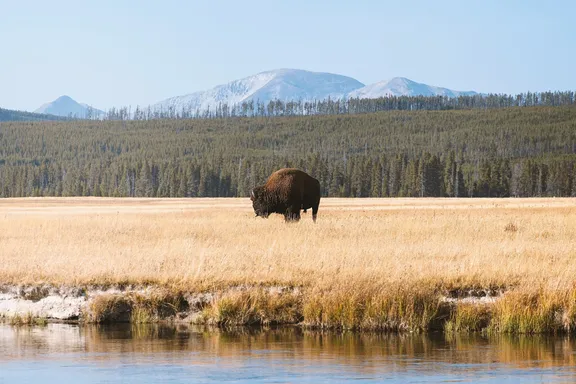 One&Only Moonlight Basin - Wildlife - Nature