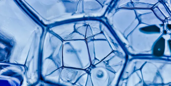 One&Only One Za'abeel - Longevity - Generic