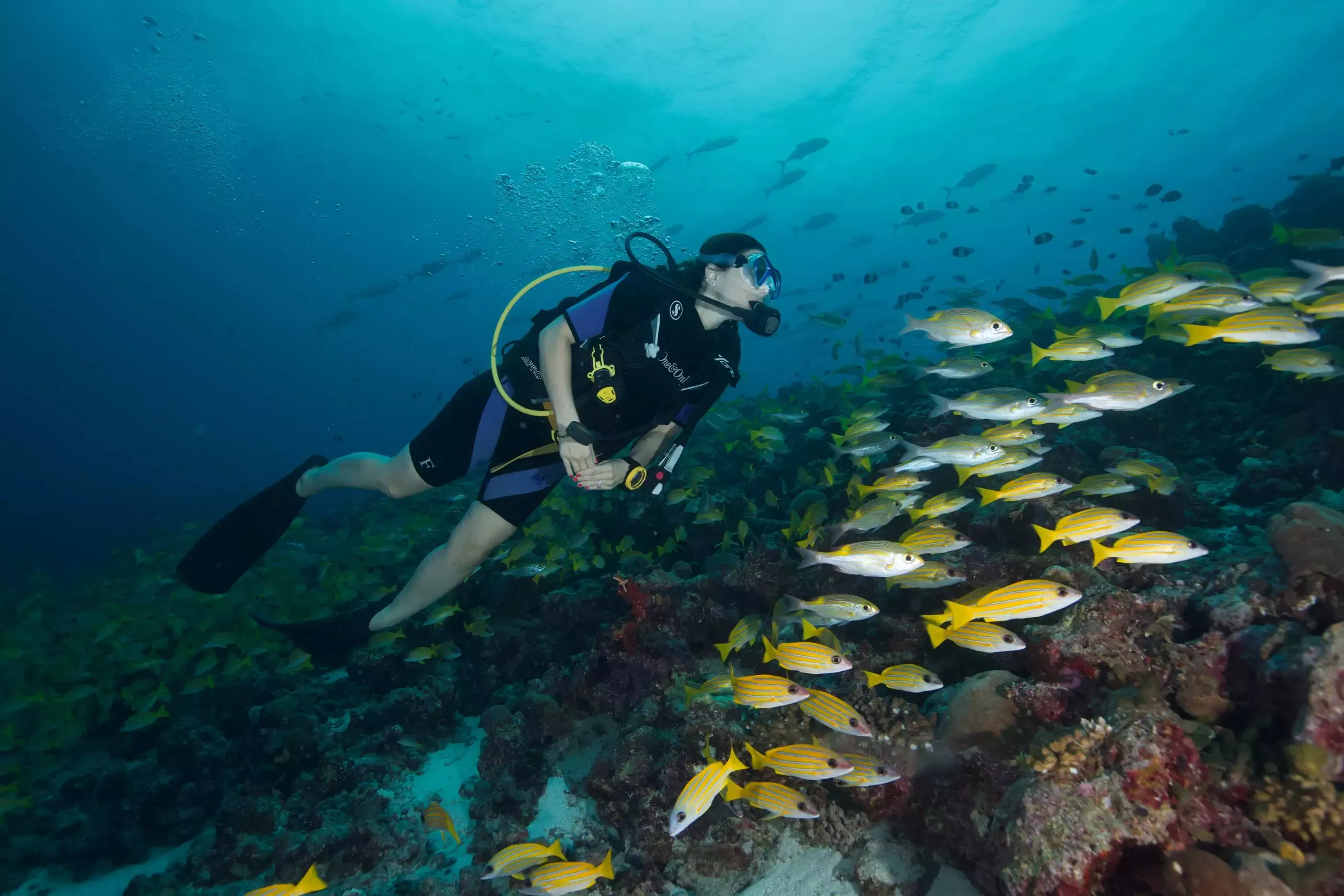 One&Only Reethi Rah | Diving Adventure