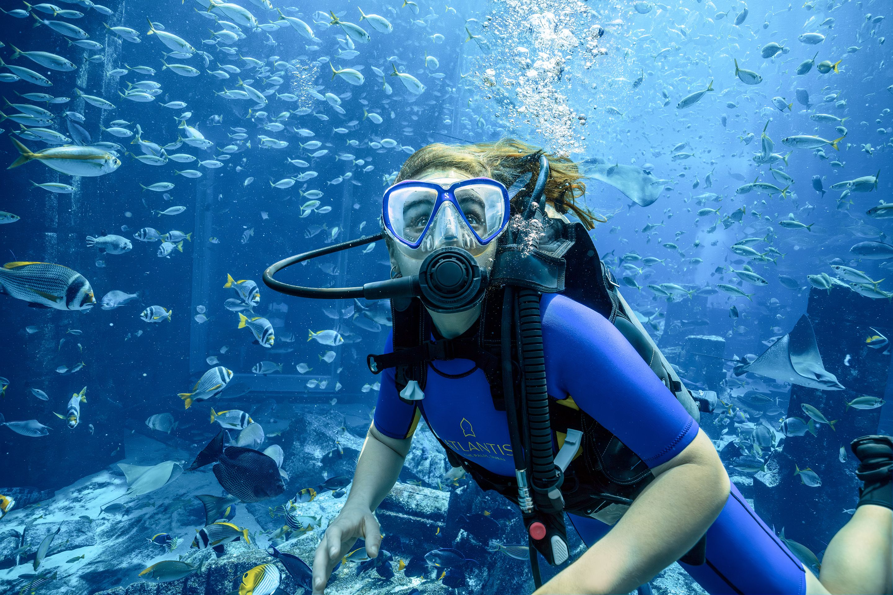 Girl diving in the Ambassador Lagoon at The Lost Chambers Aquarium