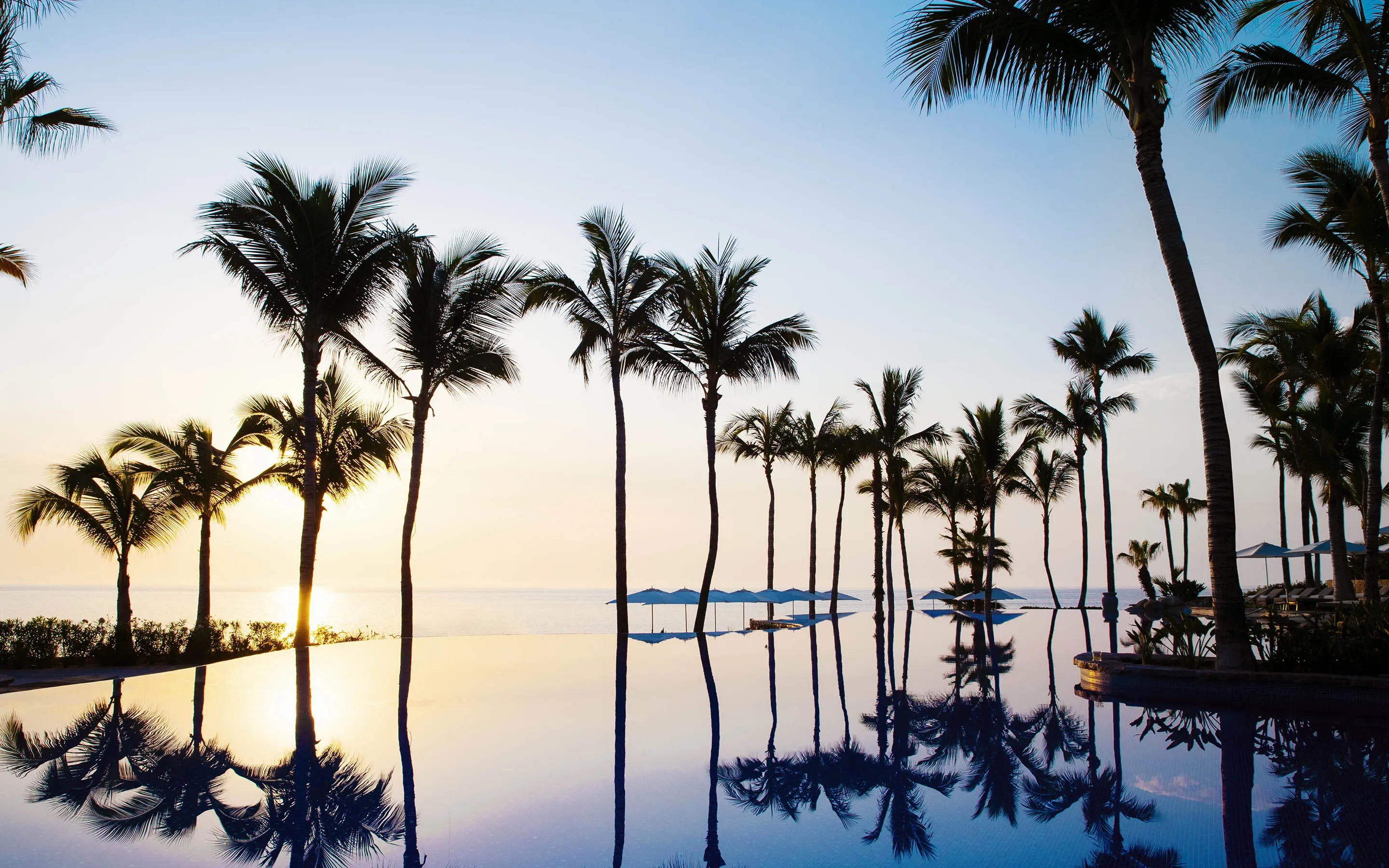 Reflection of Palm Trees in a Pool at Sunset at One&Only Palmilla