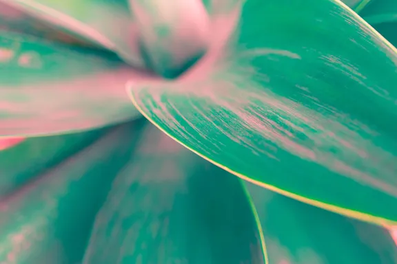 AWAKEN Spa at Atlantis, the Palm