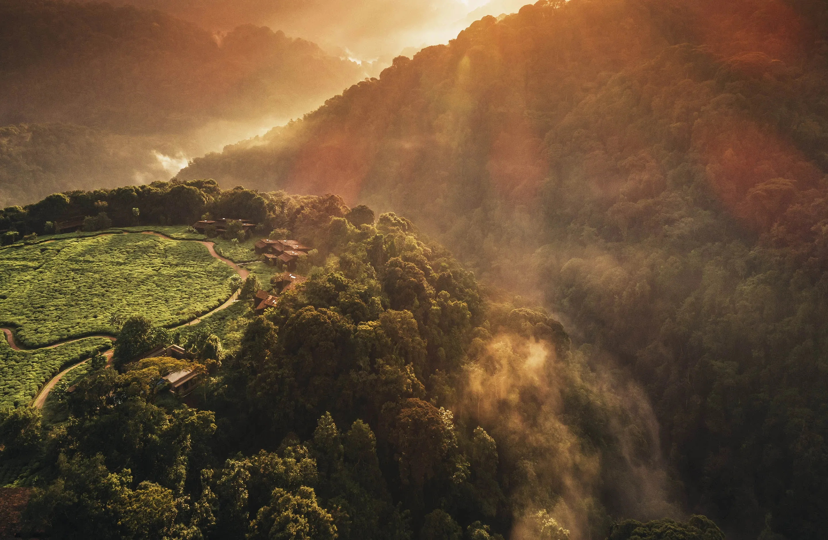 Aerial view of the Jungle of Rwanda at One&Only Nyungwe House