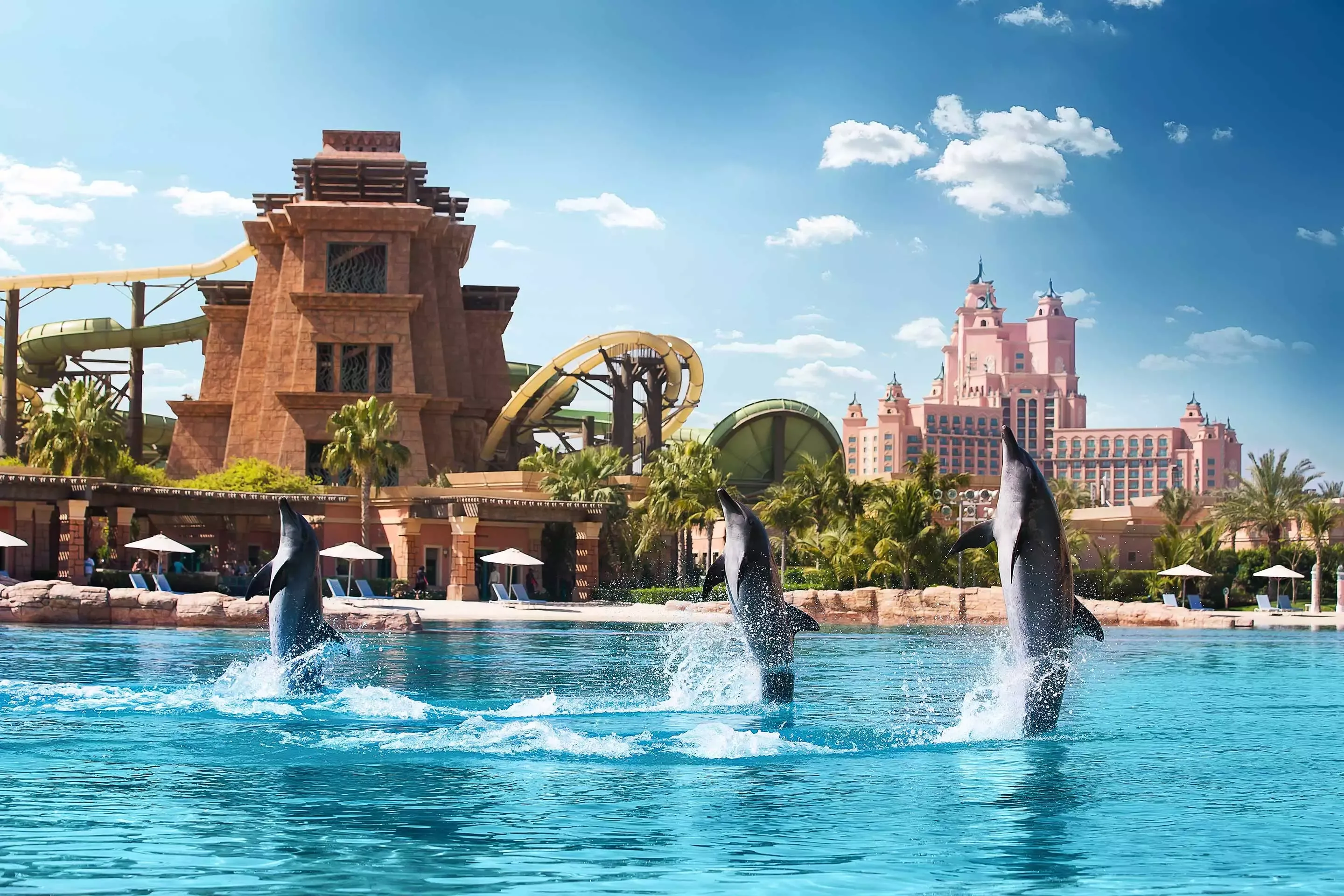 Dolphins dancing at Atlantis Dubai