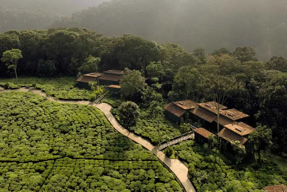 Resort at One&Only Nyungwe House