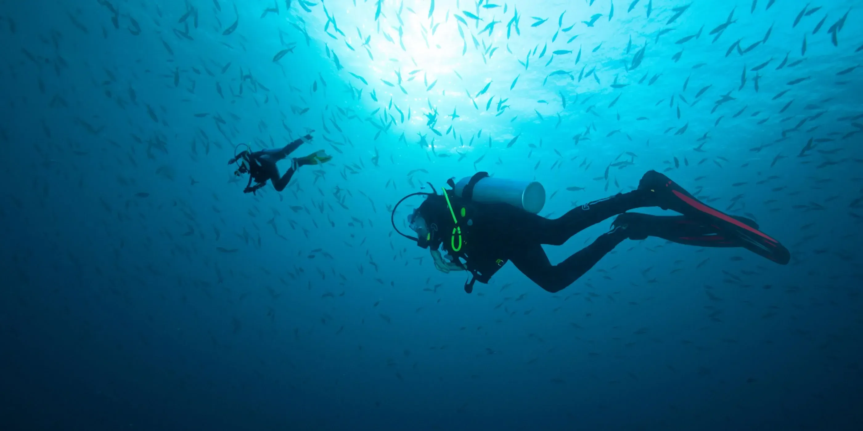 One&Only Reethi Rah - Marine Life, Diving