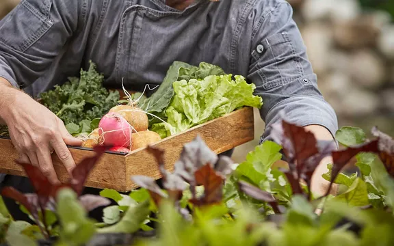 Man Picking Vegetables on the Farm at One&Only Gorilla Nest