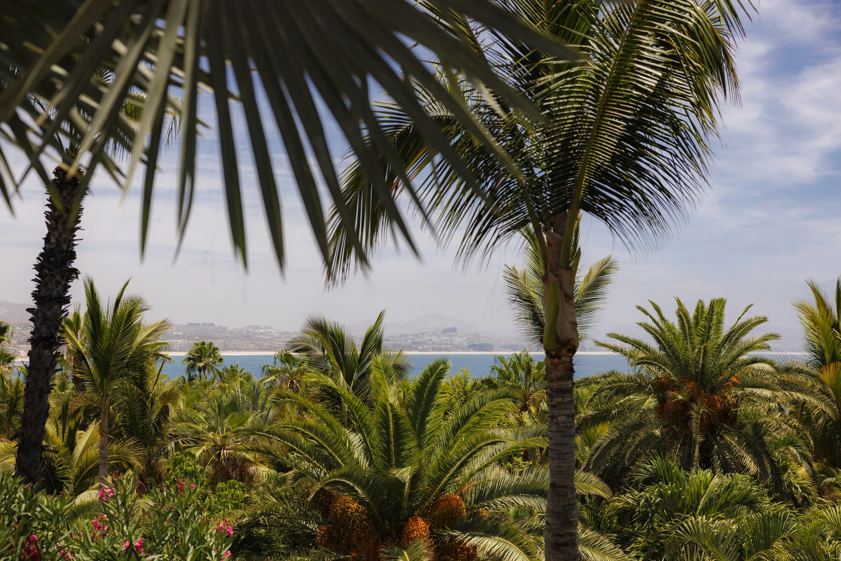 One&Only Palmilla - Garden Details