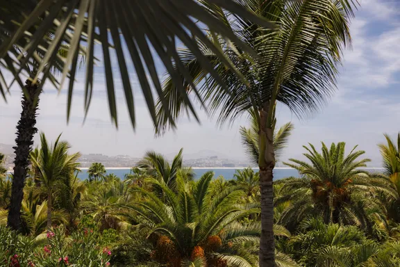 One&Only Palmilla - Garden Details