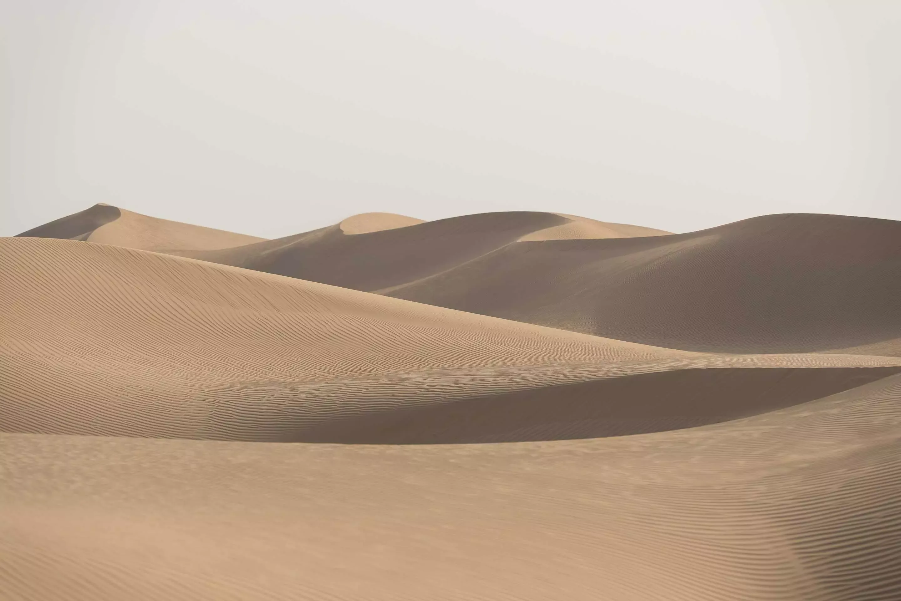 bas-desert-landscape-natalee-cocks-022