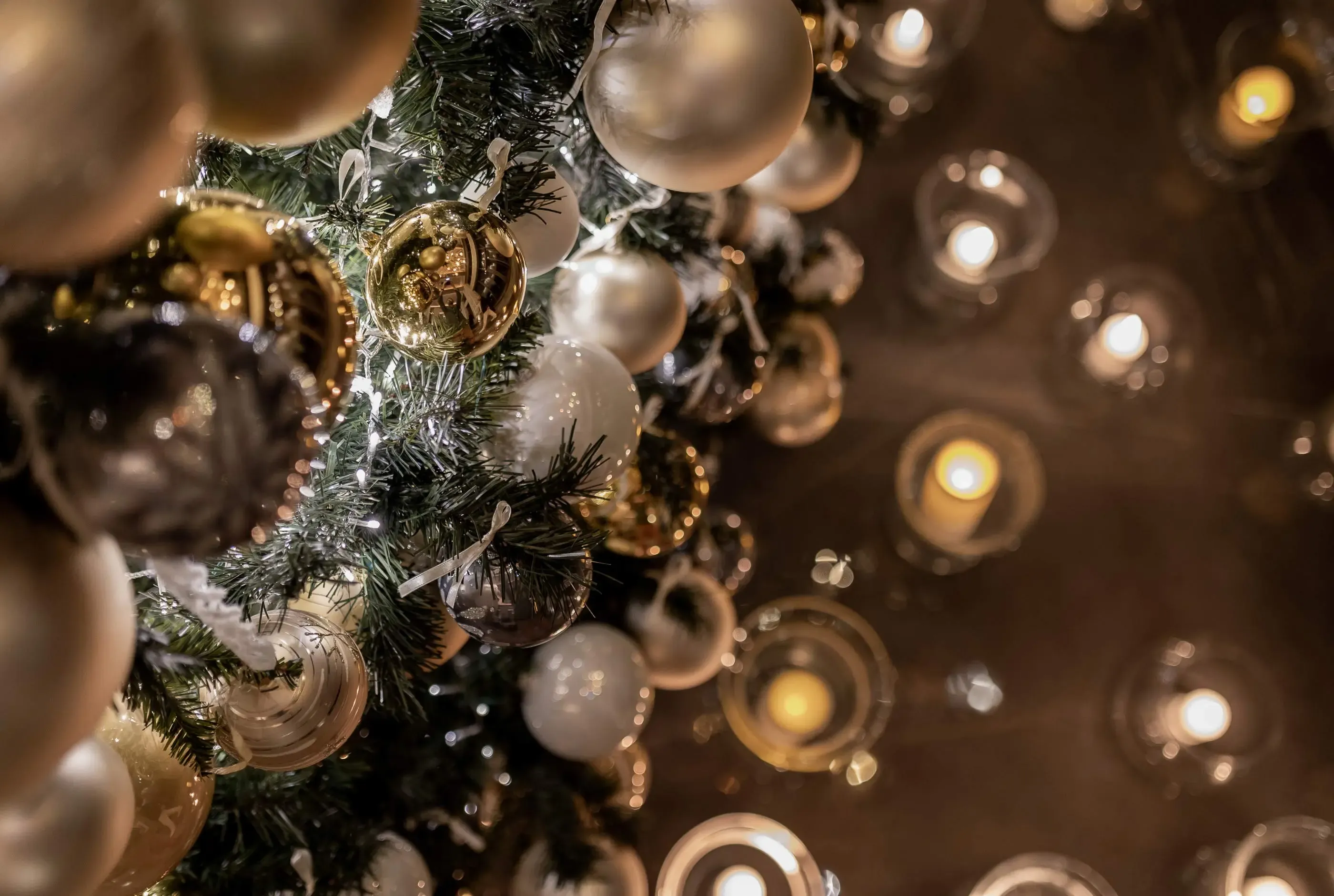 One&Only Portonovi - Festive 2024