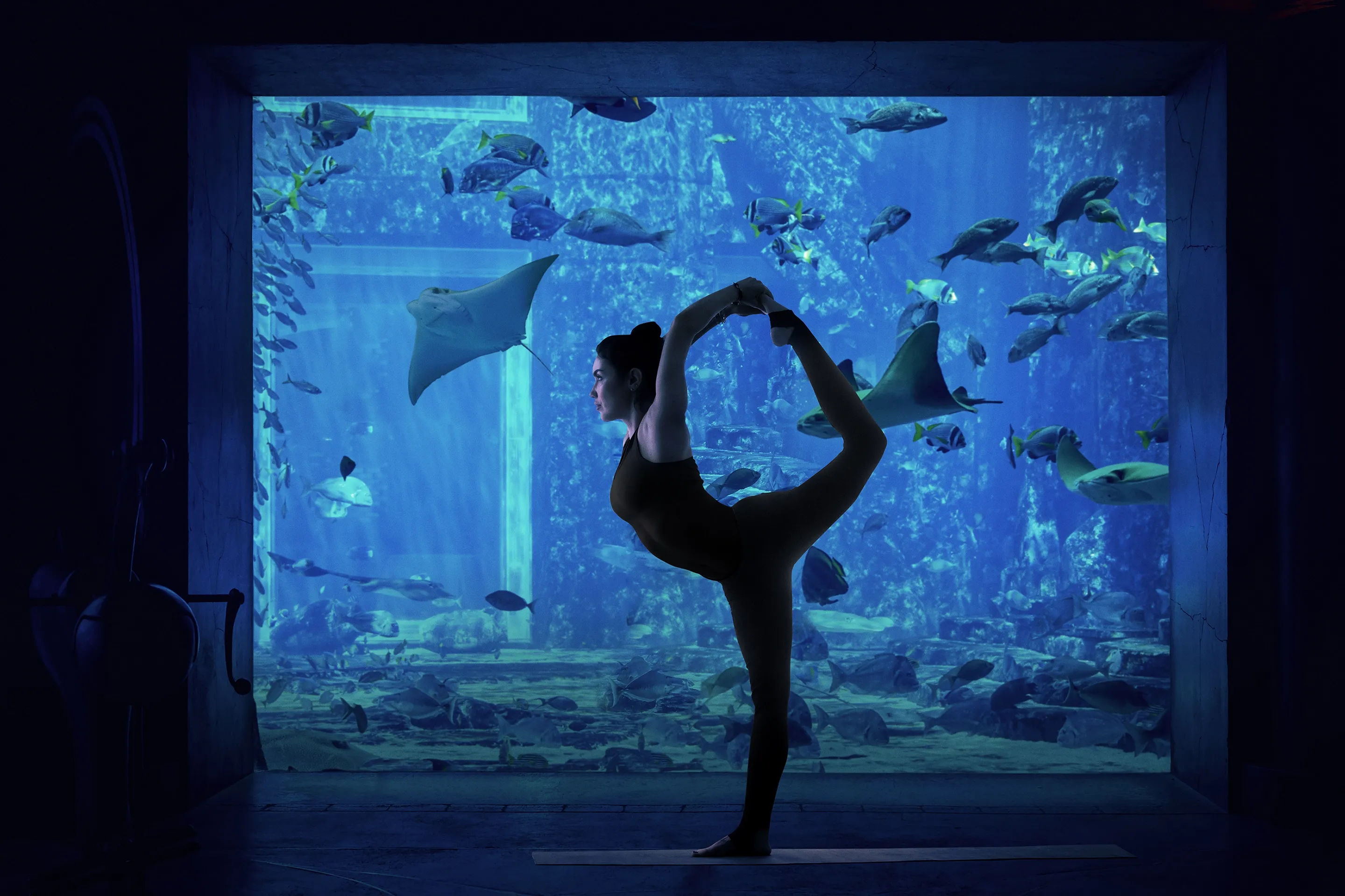 ShuiQi Fitness Underwater Yoga