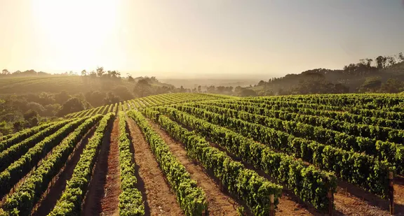 ooct-lifestyle-curated-experiences-winelands