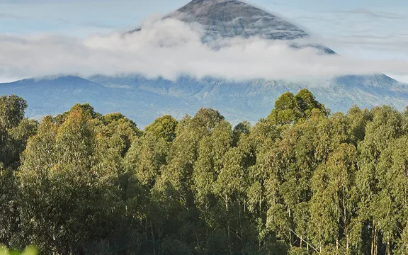 View Of Trees And Mountains At One&Only Gorilla Nest