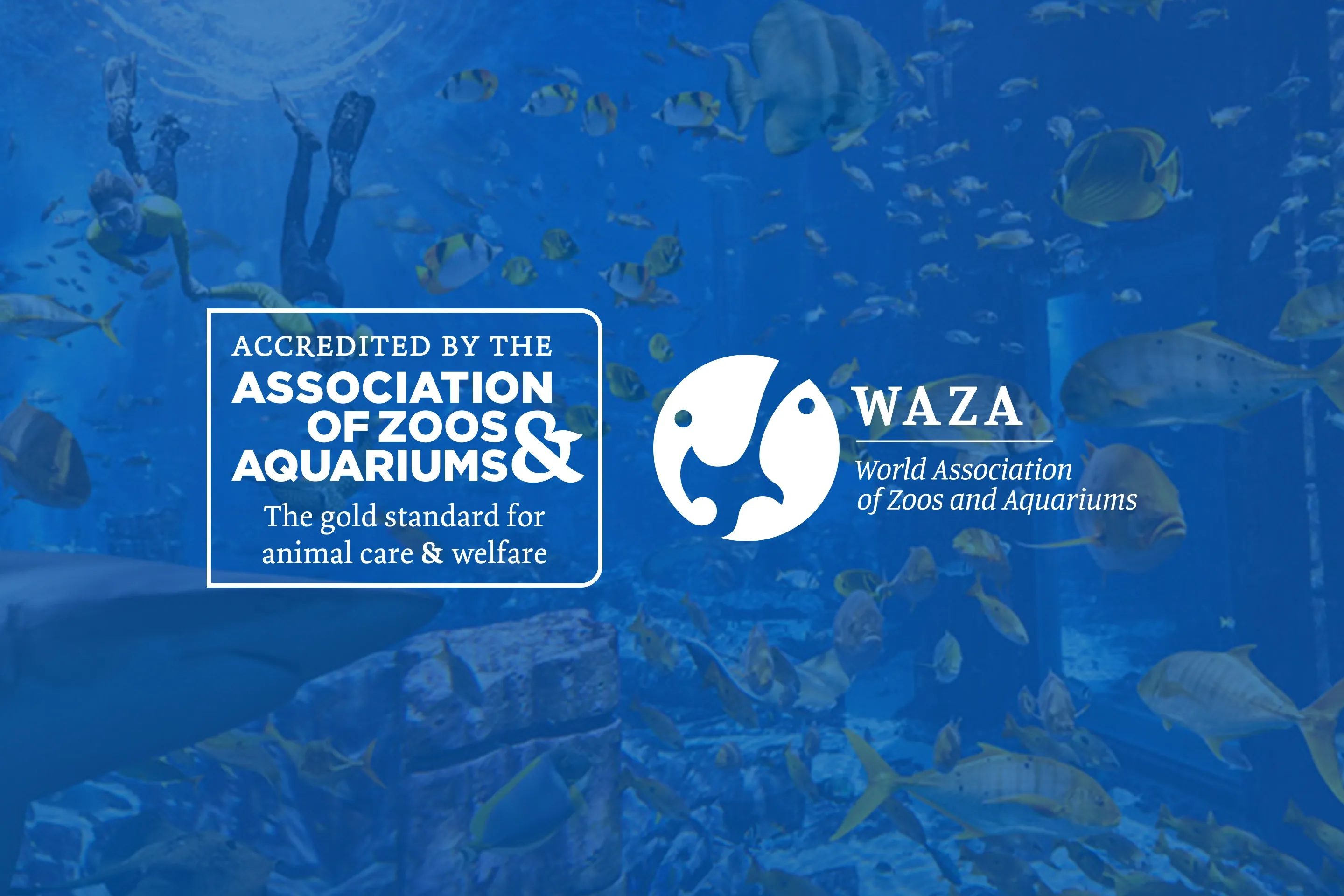 Accredited by AZA and WAZA