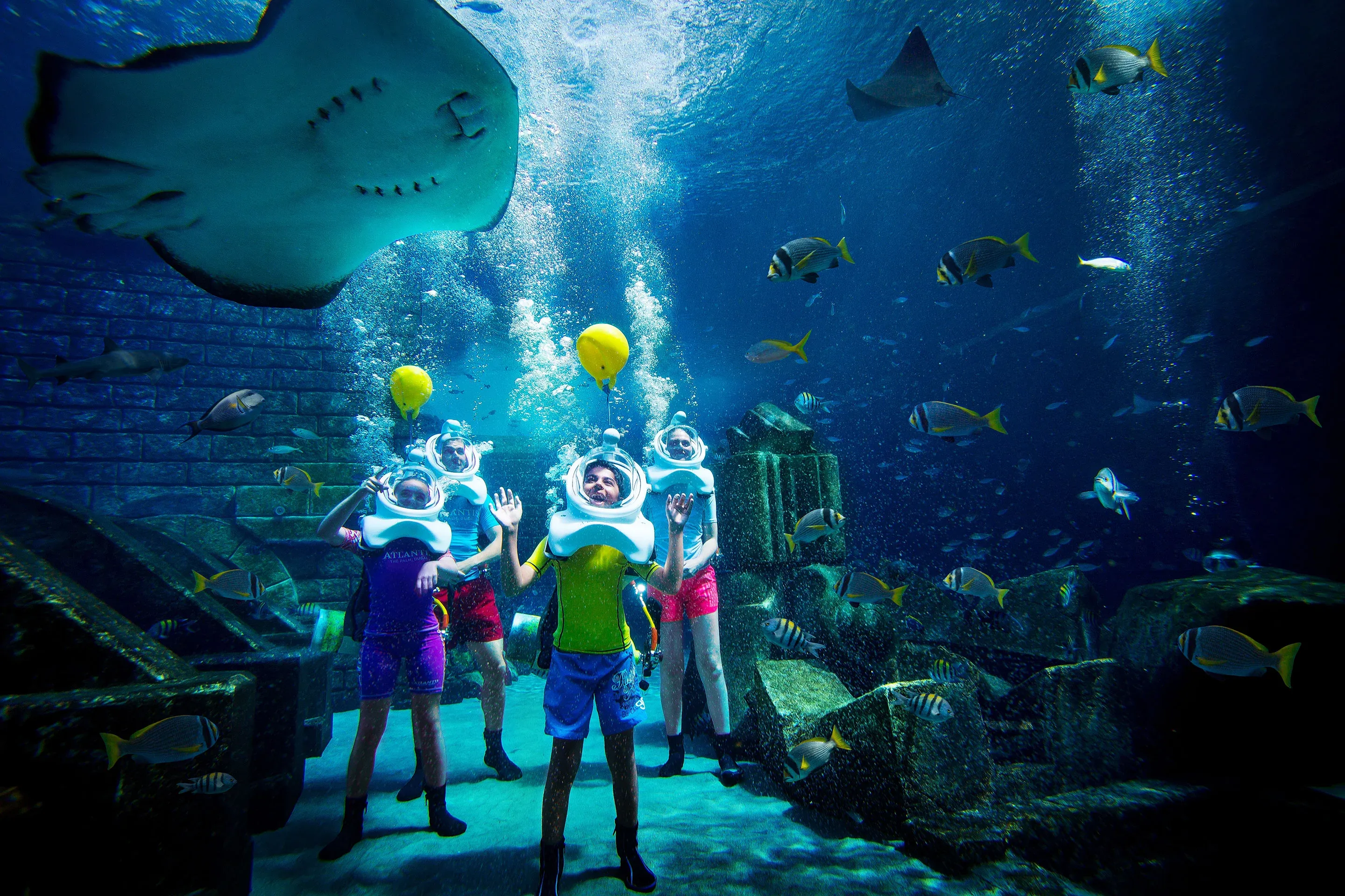 Shark Safari with Family at Atlantis Aquaventure