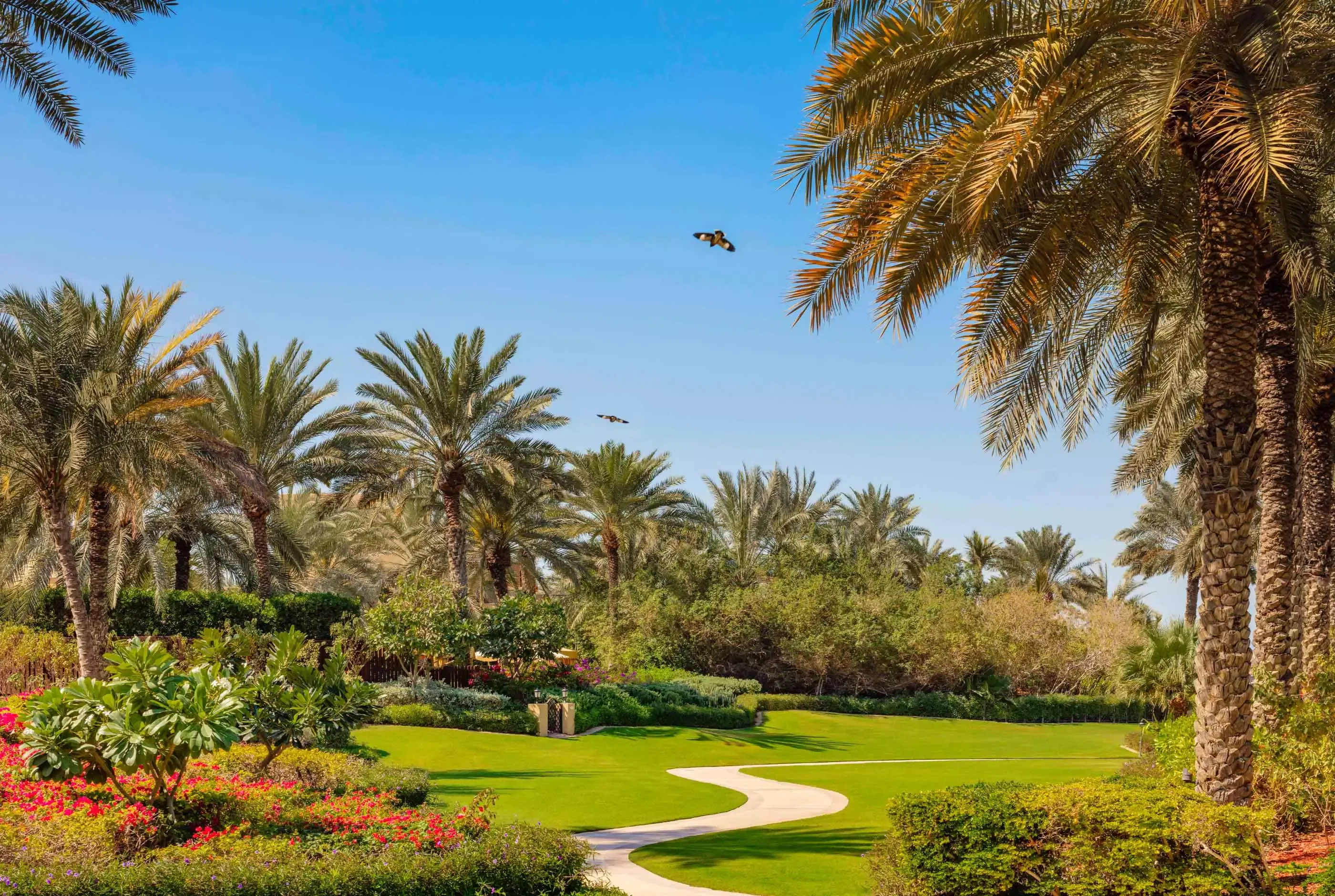 Exterior view of the garden at One&Only Royal Mirage