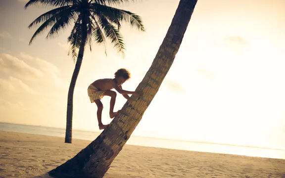 One&Only Reethi Rah - Lifestyle - Boy climbing palm tree