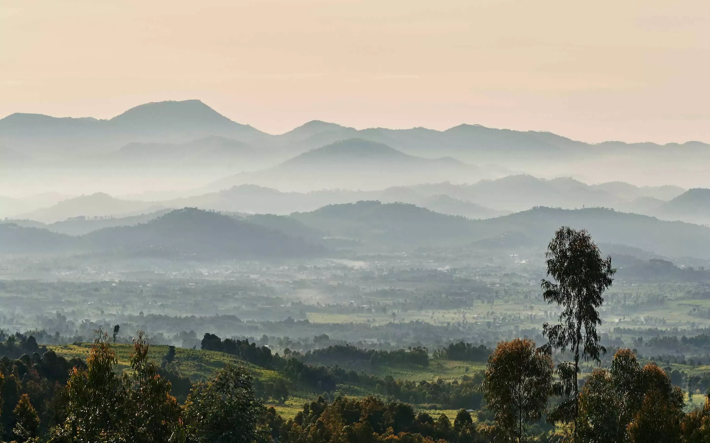 Mountain view sunrise at One&Only Gorilla's Nest