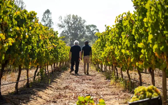 Men walking through a Vineyard at One&Only Cape Town